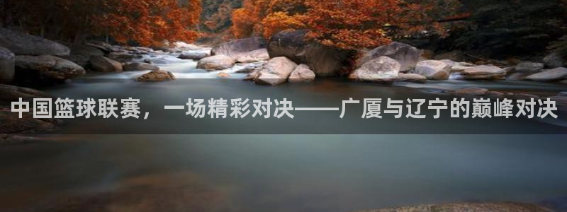 中国篮球联赛，一场精彩对决——广厦与辽宁的巅峰对决