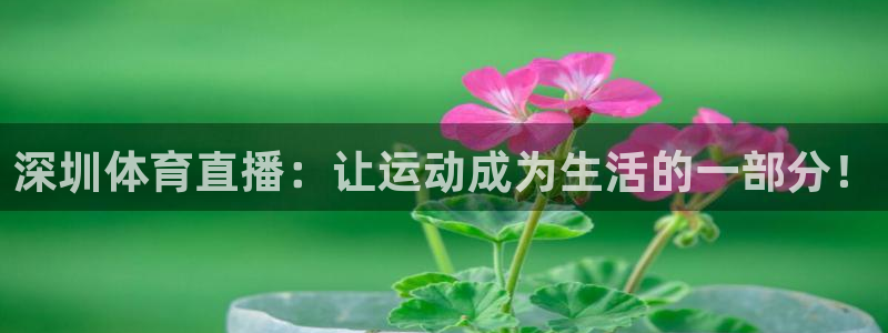 深圳体育直播：让运动成为生活的一部分！