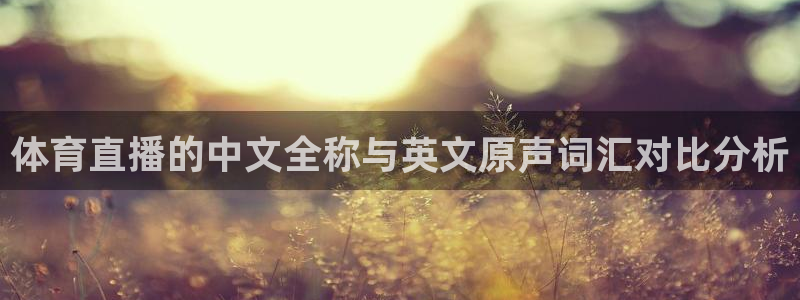 体育直播的中文全称与英文原声词汇对比分析