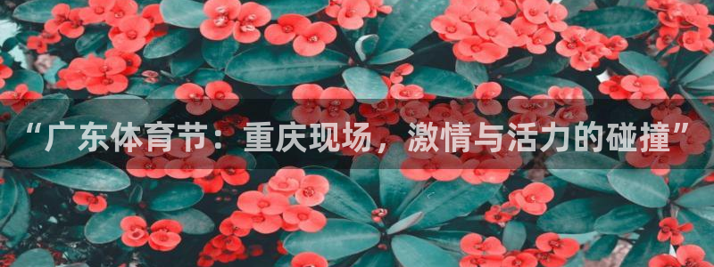 “广东体育节：重庆现场，激情与活力的碰撞”