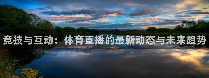 竞技与互动：体育直播的最新动态与未来趋势
