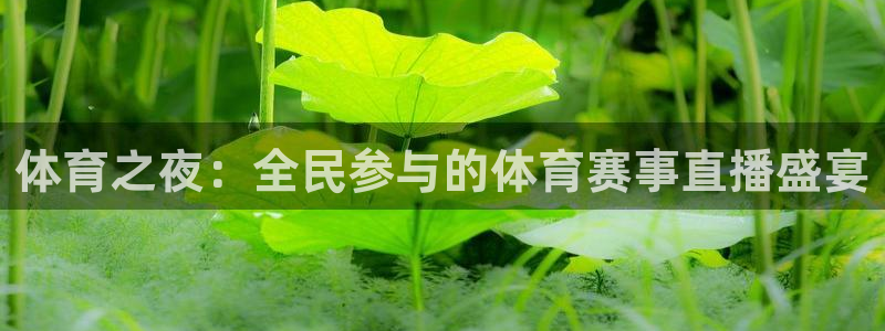 体育之夜：全民参与的体育赛事直播盛宴