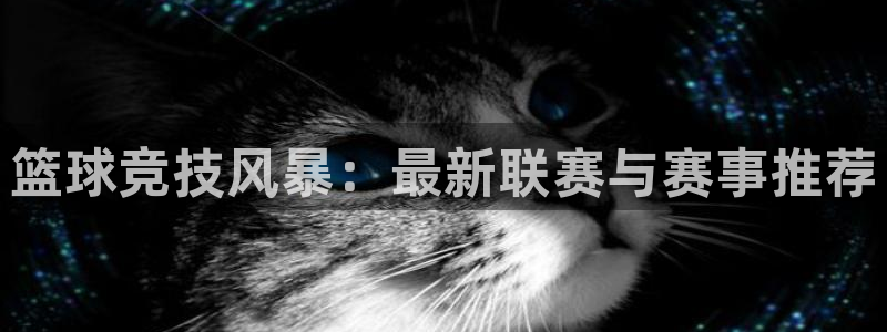 篮球竞技风暴：最新联赛与赛事推荐