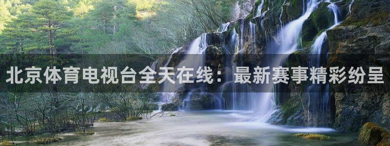 北京体育电视台全天在线：最新赛事精彩纷呈