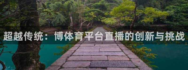 超越传统：博体育平台直播的创新与挑战