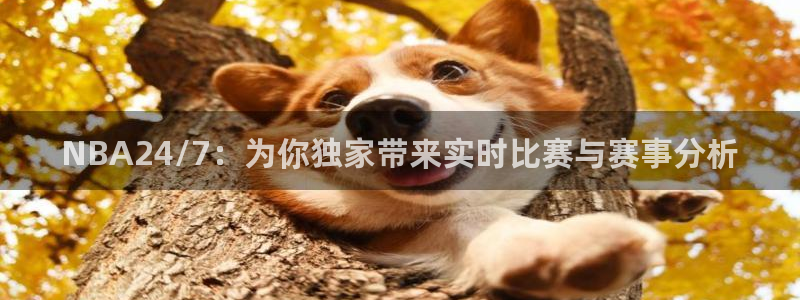 NBA24/7：为你独家带来实时比赛与赛事分析