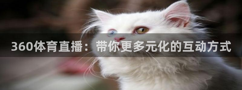 360体育直播：带你更多元化的互动方式