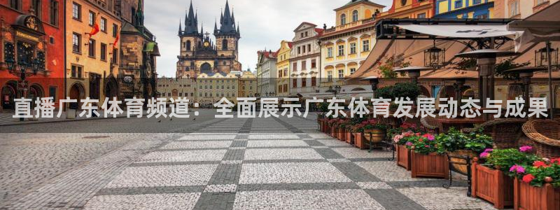 直播广东体育频道：全面展示广东体育发展动态与成果