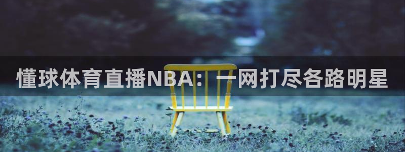 懂球体育直播NBA：一网打尽各路明星