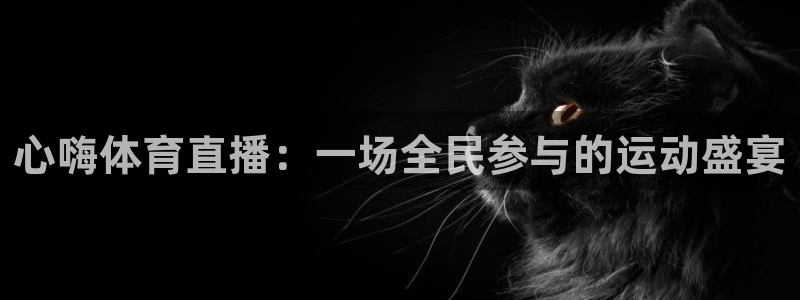 心嗨体育直播：一场全民参与的运动盛宴