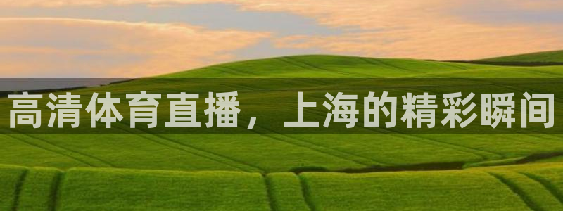 高清体育直播，上海的精彩瞬间