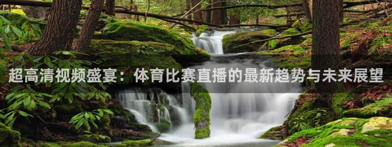 超高清视频盛宴：体育比赛直播的最新趋势与未来展望