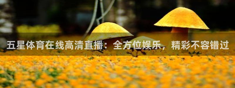 五星体育在线高清直播：全方位娱乐，精彩不容错过