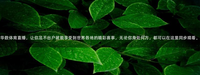 华数体育直播，让你足不出户就能享受到世界各地的精彩赛事，无论你身处何方，都可以在这里同步观看。
