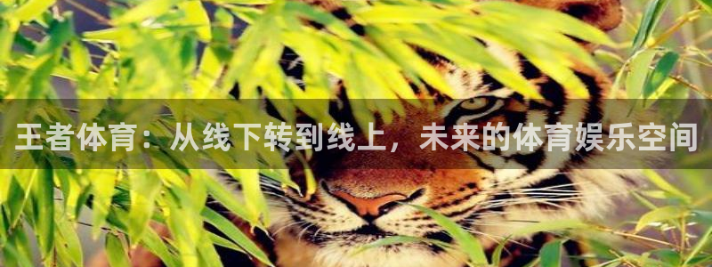 王者体育：从线下转到线上，未来的体育娱乐空间