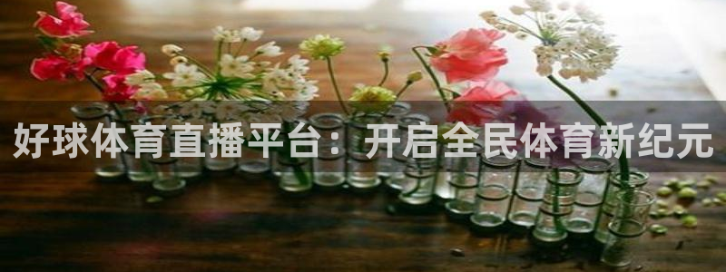 好球体育直播平台：开启全民体育新纪元