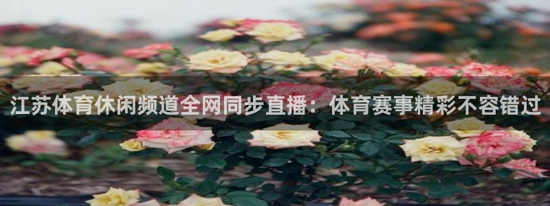 江苏体育休闲频道全网同步直播：体育赛事精彩不容错过