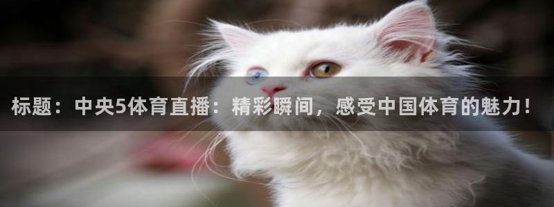 标题：中央5体育直播：精彩瞬间，感受中国体育的魅力！