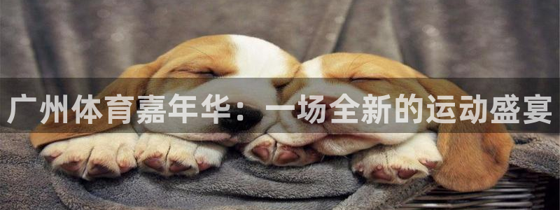 广州体育嘉年华：一场全新的运动盛宴